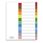SEPARADOR 12DIV CARTA COLORES SURTIDOS WJ