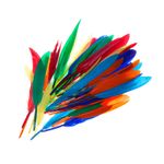 PLUMAS GRANDES COLORES SURTIDOS (16-23 cm)