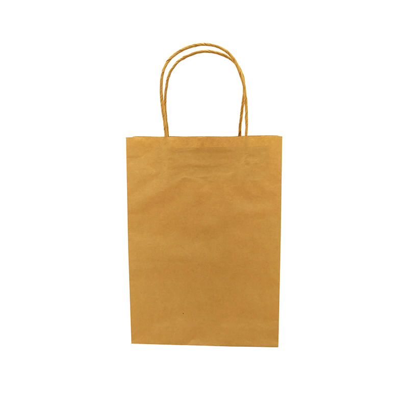 BOLSA-MEDIANA-KRAFT-C-ASA