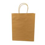 BOLSA-GRANDE-KRAFT-C-ASA