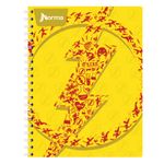 CUADERNO PROFESIONAL 100H RAYAS JUSTICE LEAGUE