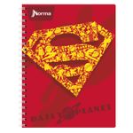 CUADERNO PROFESIONAL 100H RAYAS JUSTICE LEAGUE