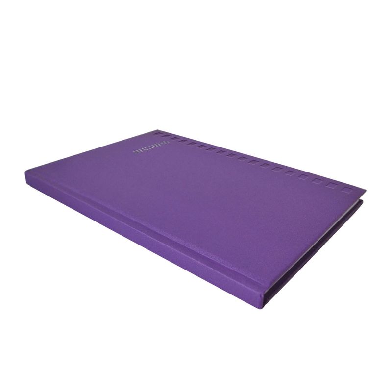 1025 - AGENDA ESCRITORIO SHOT COLORES SURTIDOS