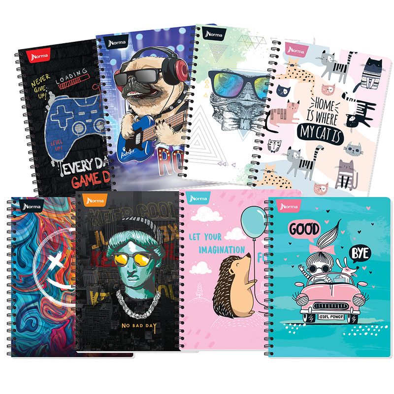 CUADERNO PROFESIONAL 100H C-5 NORMA BASIC