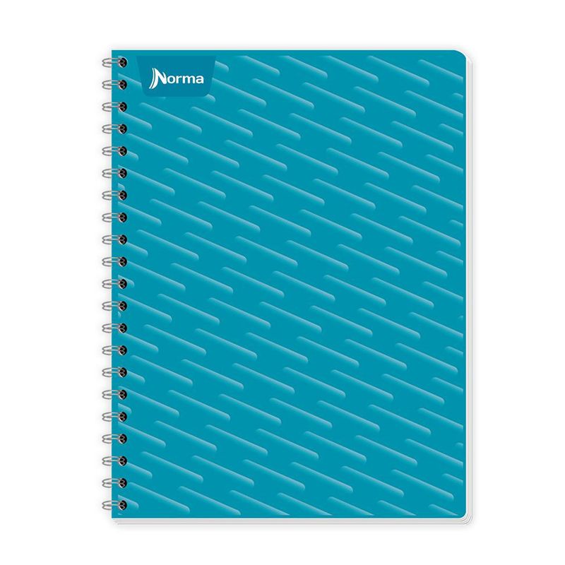CUADERNO PROFESIONAL 200H C-7 UNICOLOR