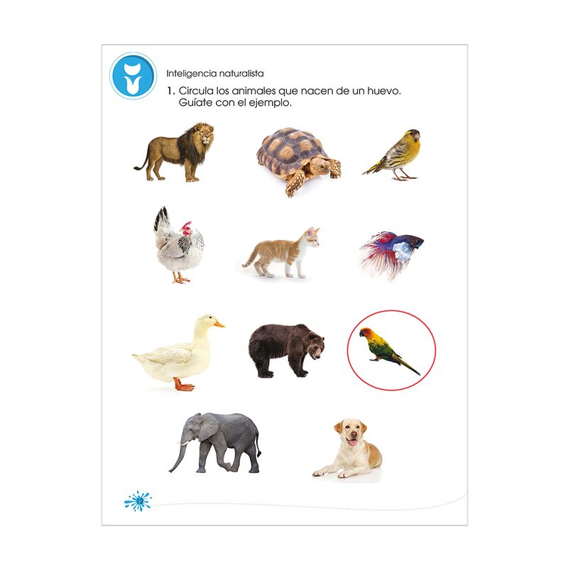 LIBRO EJERCICIOS SUPER MENTES PRIMARIA 1