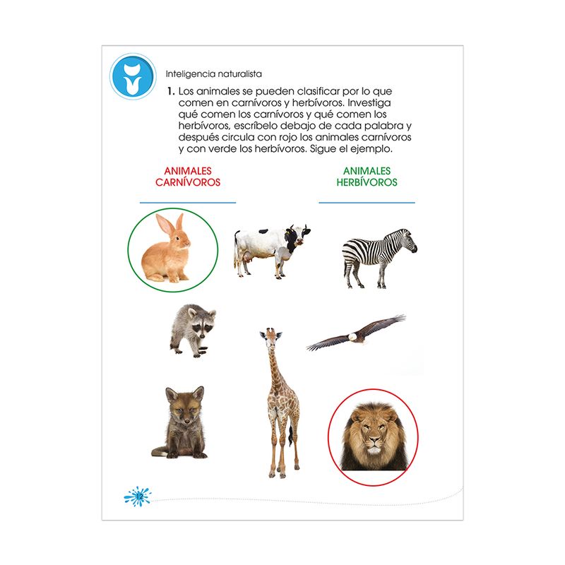 LIBRO EJERCICIOS SUPER MENTES PRIMARIA 2