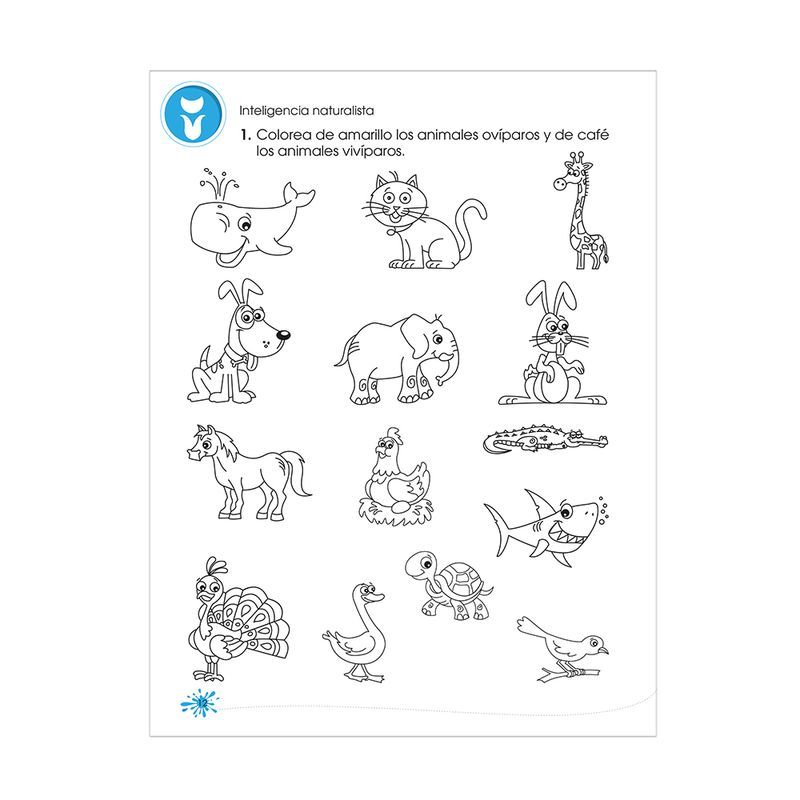 LIBRO EJERCICIOS SUPER MENTES PRIMARIA 4