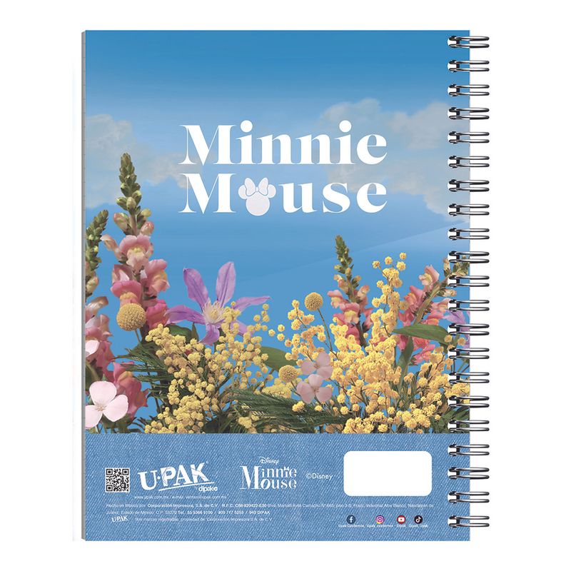 CUADERNO ESPIRAL PROFESIONAL 100H RAYAS MINNIE
