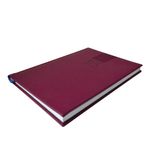 44335 - AGENDA DE ESCRITORIO TUCSON COLORES SURTIDOS