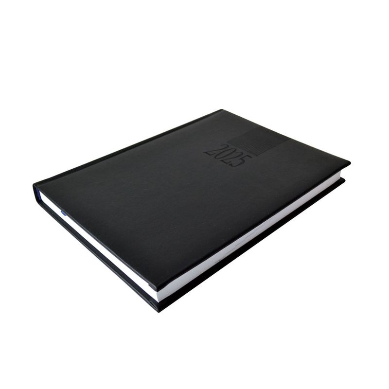 44339 - AGENDA DIARIA TUCSON COLORES SURTIDOS