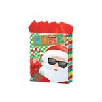 18354 - BOLSA REGALO CHICA DESTELLOS