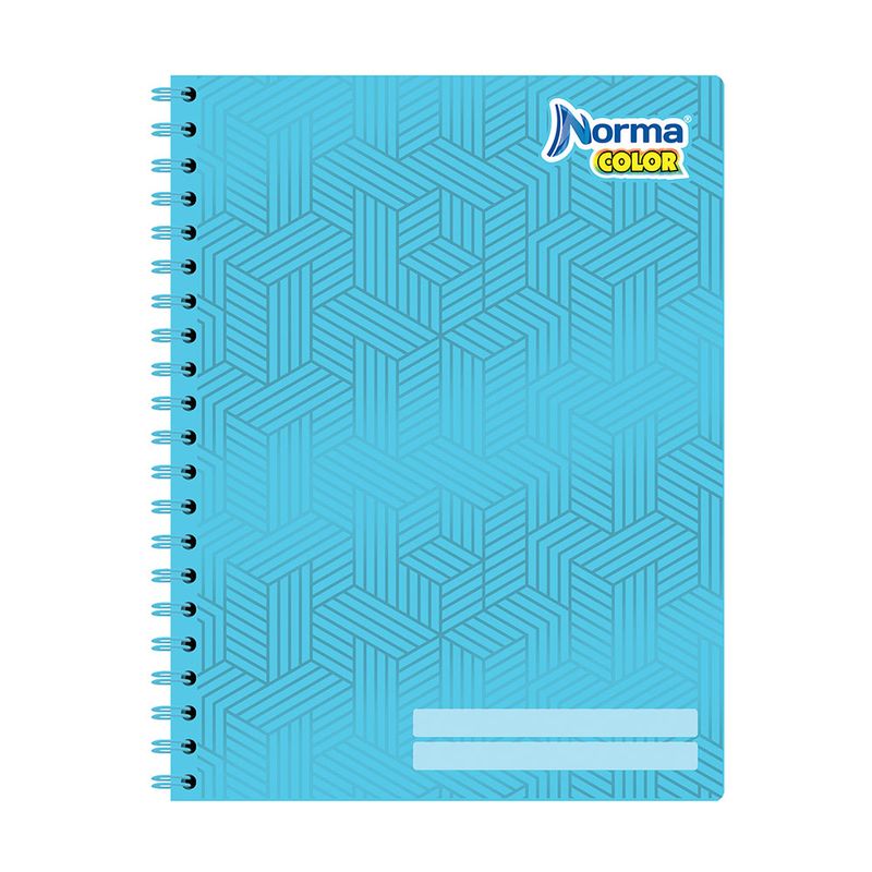 CUADERNO PROFESIONAL 100H C-5 NORMA COLOR