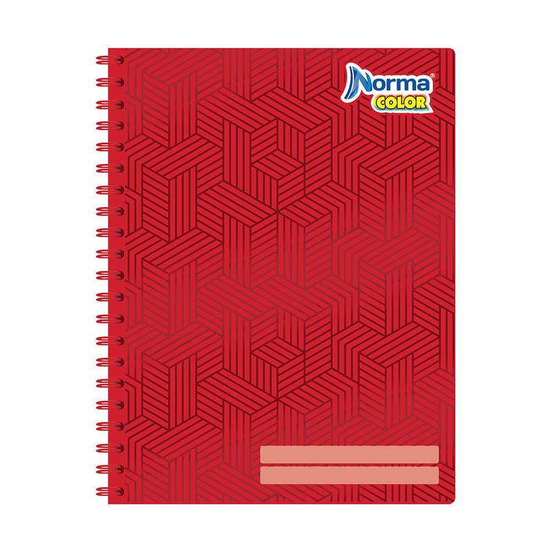 CUADERNO PROFESIONAL 100H C-5 NORMA COLOR