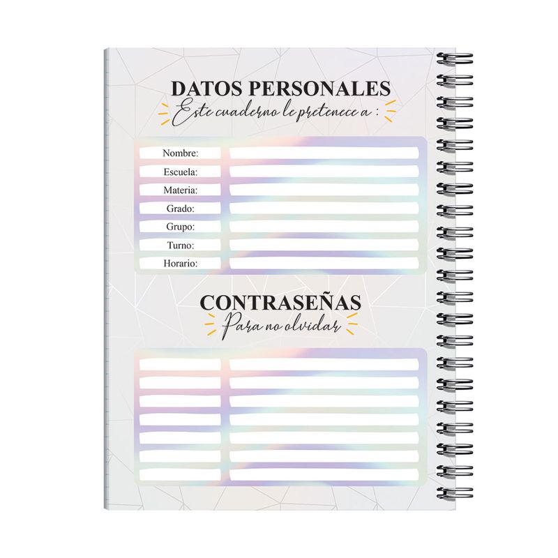 CUADERNO PROFESIONAL 100H C-7 DISNEY PLATINUM PD
