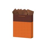 BOLSA REGALO MEDIANA KRAFT BICOLORES