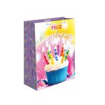 BOLSA REGALO MEDIANA BRILLANTE CUMPLE