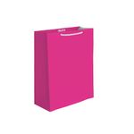 BOLSA REGALO MEDIANA LISOS NEONES 2