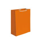 BOLSA REGALO MEDIANA LISOS NEONES 2