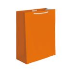 BOLSA REGALO GRANDE LISOS NEONES 2