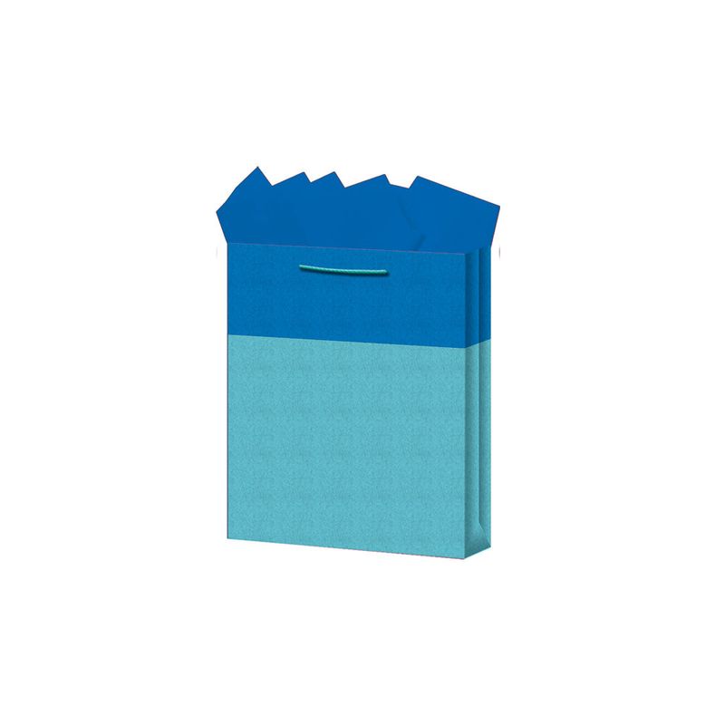 BOLSA REGALO CHICA KRAFT BICOLORES