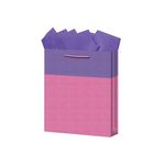 BOLSA REGALO MEDIANA KRAFT BICOLORES