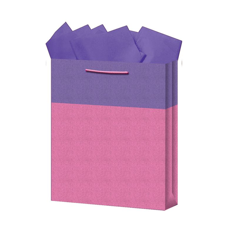 BOLSA REGALO GRANDE KRAFT BICOLORES