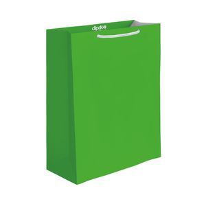 Bolsa Regalo Grande Lisos Neones 2 1120035549