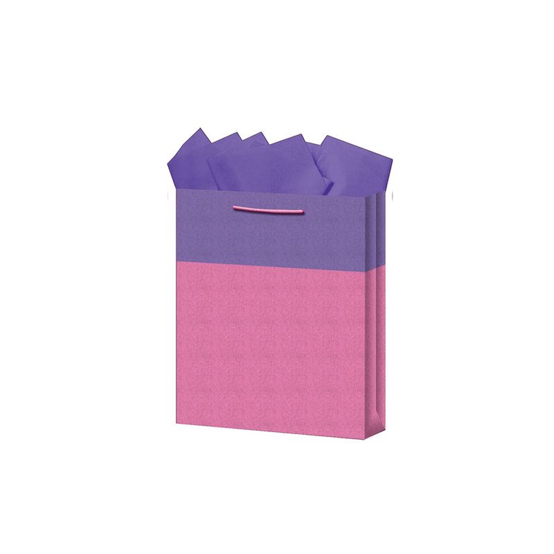 BOLSA REGALO CHICA KRAFT BICOLORES