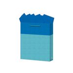 BOLSA REGALO MEDIANA KRAFT BICOLORES