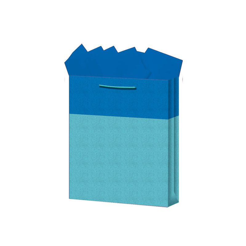 BOLSA REGALO MEDIANA KRAFT BICOLORES