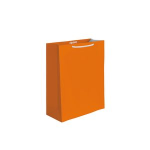 Bolsa Regalo Chica Lisos Neones 2 1120015402
