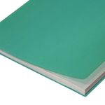 CUBIERTA PLASTICA CARTA PLATINO VERDE 25 JUEGOS ZEBRA P-105