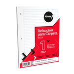 HOJAS PARA CARPETA CARTA 100H RAYAS RAYTER