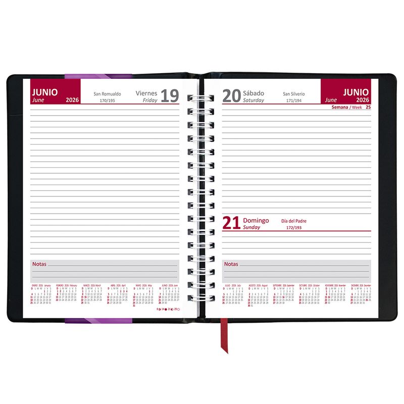 50762 - AGENDA ECONOMICA PROFESIONAL NEGRO