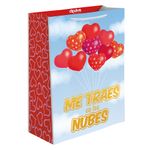 BOLSA REGALO GRANDE SAN VALENTIN