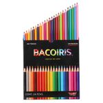 LAPICES DE COLORES 24-L BACOIRIS