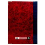 LIBRO FLORETE DIARIO 192HJS FORMA FRANCESA