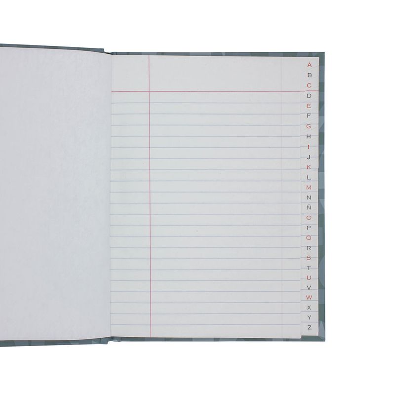 LIBRO FRANCES 1/4 PD 96HJS RAYAS C/INDICE