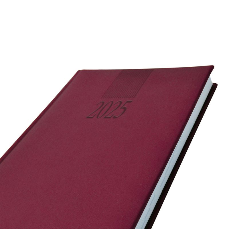 55000 - AGENDA DIARIA TUCSON COLORES SURTIDOS