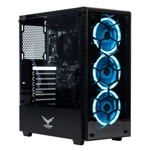 Computadora Gamer Naceb Amd  Ryzen 5 5600 Gt, 8 Gb, Ssd 480Gb, Win Prueba Na-Rzn560-Scout