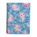 CUADERNO PROFESIONAL 100H RAYA DOO SMARTY MIX (F)