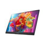 78979 - MONITOR PORTATIL LANIX 15 6"