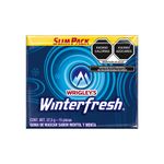 46758 - GOMA DE MASCAR WINTERFRESH EMBOSSING 40 5GR