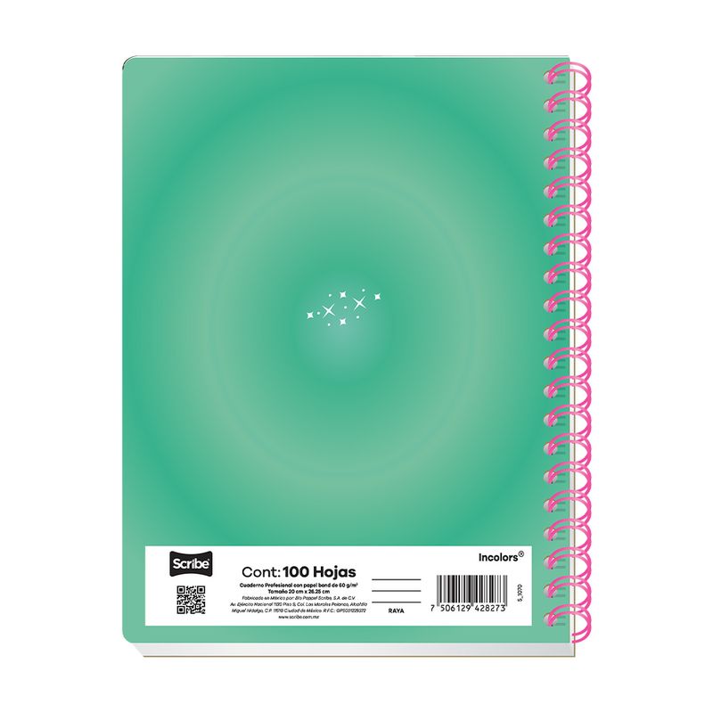 83981 - CUADERNO PROFESIONAL 100H C-5 INCOLORS
