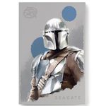 89188 - Disco Duro Externo (D90) Seagate FireCuda 2TB 2 5" USB 3 0 Edicion StarWars The Mandalorian RGB para PC MAC PS4/5 Xbox O