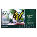87773 - Pantalla BenQ ST6504 65" 4K UHD 3840x2160 Panel ADS 60 Hz 99% sRGB