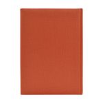 94135 - AGENDA DE ESCRITORIO CARIBE COLORES SURTIDOS