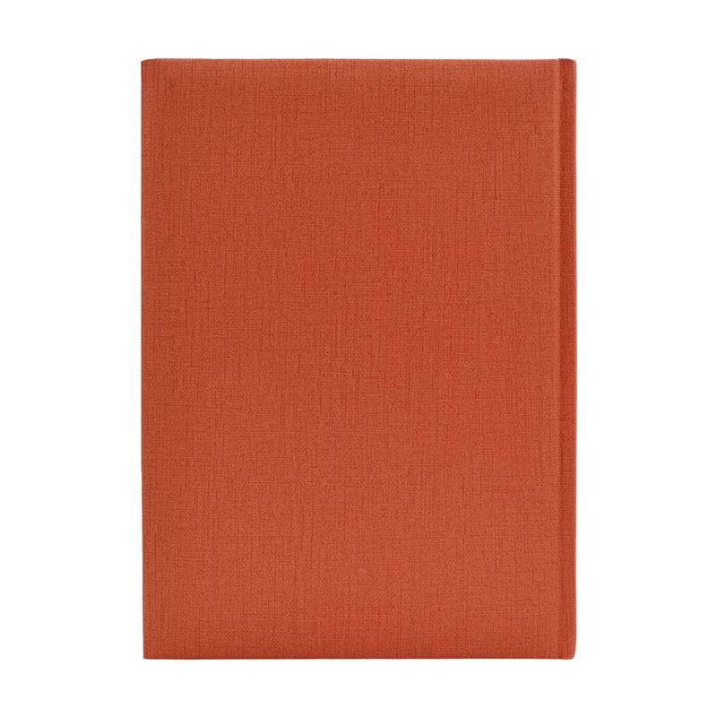 94135 - AGENDA DE ESCRITORIO CARIBE COLORES SURTIDOS